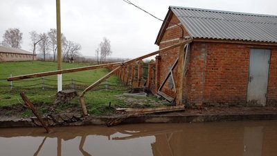 "Наробили багато шкоди" – наслідки пограбування росіянами птахоферми у селі Вільшана на Сумщині "Наробили багато шкоди" – наслідки пограбування росіянами птахоферми у селі Вільшана на Сумщині