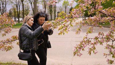 "Є де пофотографуватися": у Кропивницькому квітнуть алеї сакур і слив "Є де пофотографуватися": у Кропивницькому квітнуть алеї сакур і слив
