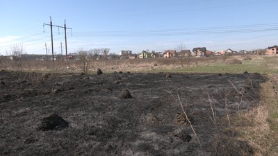 Виїзд обходиться у 20 тисяч. Прикарпатські рятувальники за вихідні загасили 150 пожеж сухостою Виїзд обходиться у 20 тисяч. Прикарпатські рятувальники за вихідні загасили 150 пожеж сухостою