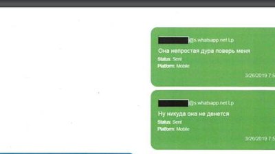 Пулітцер з рук Гебельса: топ 10 цитат з переписки Луценка Пулітцер з рук Гебельса: топ 10 цитат з переписки Луценка