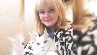 Власниця миколаївського розплідника з мейн-кунами розповіла, як коти почуваються під обстрілами