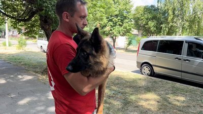 Миколаївські волонтери Червоного Хреста дістали з-під завалів вівчарку