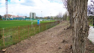 В Ужгороді на Студентській набережній висадять молоді липи В Ужгороді на Студентській набережній висадять молоді липи