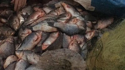 На території Національного парку "Нижньодніпровський", що на Херсонщині, затримано браконьєрів