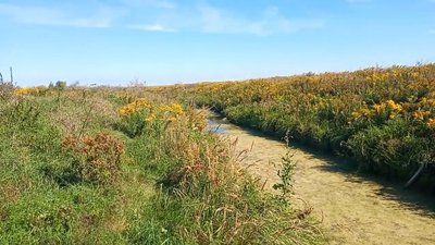 Дорога до села Пальчинці. Дорога до села Пальчинці.