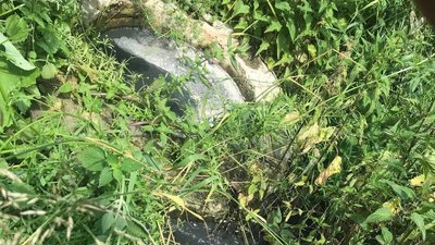 На Вінниччині екологи виявили факт забруднення землі На Вінниччині екологи виявили факт забруднення землі