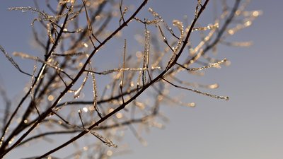 У вихідні на Полтавщині прогнозують погоду без опадів