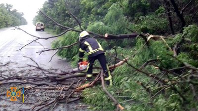 Повалені дерева та розтрощені автівки: наслідки негоди на Дніпропетровщині Повалені дерева та розтрощені автівки: наслідки негоди на Дніпропетровщині