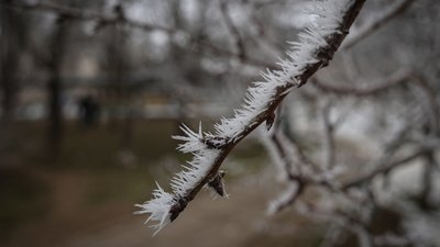 Херсон, погода, природа, зима 