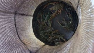 Ятер з виловленими раками на Харківщині