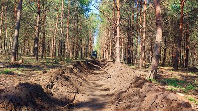 Понад 1 300 кілометрів нових мінералізованих смуг проклали цьогоріч у лісах Черкащини Понад 1 300 кілометрів нових мінералізованих смуг проклали цьогоріч у лісах Черкащини