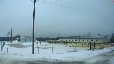 Птахофабрика, яку перевіряли інспектори Держпродспоживслужби