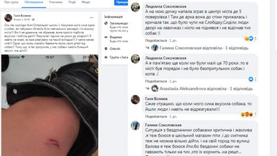 Собака Собака
