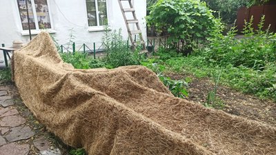 У Житомирі вирощують маскувальні трав’яні килими для військових У Житомирі вирощують маскувальні трав’яні килими для військових