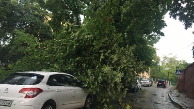 Гроза у Львові: повалені дерева та затоплені вулиці