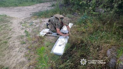 Вибухотехніки знешкодили БпЛА, які збили у Чернігівському та Ніжинському районах