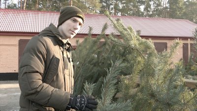 У лісництвах розпочалися ялинкові ярмарки У лісництвах розпочалися ялинкові ярмарки