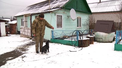 Викинуте під Житомиром у закоркованій пляшці цуценя врятував прикордонник