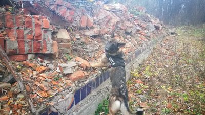 У Хмельницькому кінологи з собаками вчилися шукати тіла