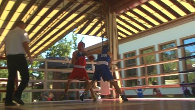 У Запоріжжі розпочався обласний чемпіонат з боксу