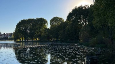 вода, обміління, висихають річки, висихають ставки, зникає вода, тернопільщина