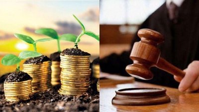 Пасовища під сонячні батареї: на Одещині суд стягнув з підприємства понад 3 млн грн