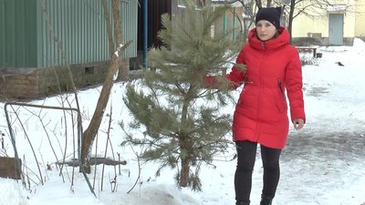 Ольга Хрипко несе ялинку на смтник