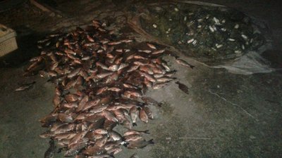 У Запоріжжі працівники водної поліції виявили чоловіка, що здійснював вилов риби сіткою