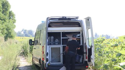 У Чернігівському районі знайшли зарізаним зниклого 8-річного хлопчика (Оновлено) У Чернігівському районі знайшли зарізаним зниклого 8-річного хлопчика (Оновлено)