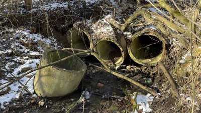 Аварійна дамба у полтавському дендропарку: які наслідки для екології Аварійна дамба у полтавському дендропарку: які наслідки для екології