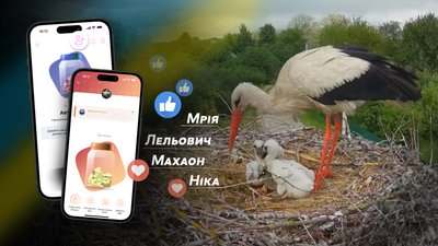 На Полтавщині користувачі за донати для ЗСУ дали імена лелеченятам Грицика та Одарки