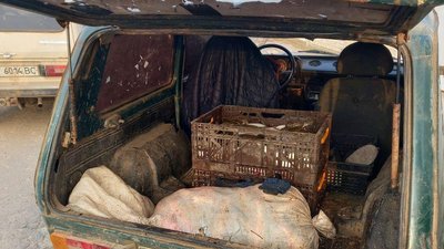 На Херсонщині чоловік незаконно купив 100 кг риби і відповідатиме перед судом