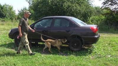У Хмельницькому кінологи втілюватимуть нову методику дресирування У Хмельницькому кінологи втілюватимуть нову методику дресирування