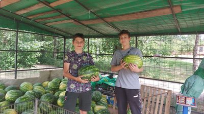 У Черкасах розпочали продаж кавунів