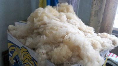 На Сумщині прядуть вовну і виготовляють з неї теплі речі для військових На Сумщині прядуть вовну і виготовляють з неї теплі речі для військових