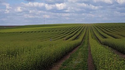 Понад 700 млн грн. Дніпропетровщина ввійшла до трійки регіонів-лідерів із залучення агрокредитів