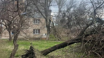 Скільки жителів Слов'янська лишаються без електропостачання внаслідок негоди 31 березня