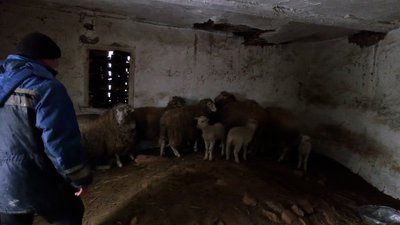 "От розкажіть, куди їхати?": як живуть у селах Новгород-Сіверської громади та що згадують про перші дні широкої війни "От розкажіть, куди їхати?": як живуть у селах Новгород-Сіверської громади та що згадують про перші дні широкої війни