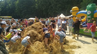 На "Крутому Замісі" на Черкащині шукали Сонцезавра та робили хату-мазанку На "Крутому Замісі" на Черкащині шукали Сонцезавра та робили хату-мазанку