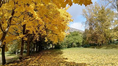 осінь, тернопіль
