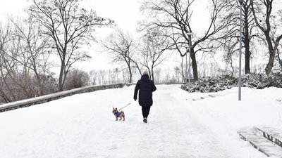 сніг черкаси сніг черкаси