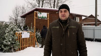 На прикордонні Чернігівщини вирощують та продають новорічні ялинки: де можна їх купити На прикордонні Чернігівщини вирощують та продають новорічні ялинки: де можна їх купити