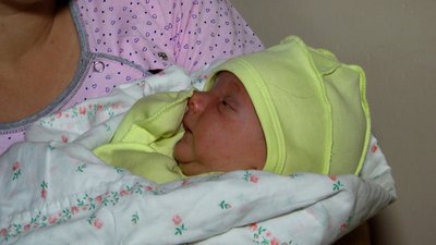 Три дівчинки та чотири хлопчика – у День Незалежності в обласному перинатальному центрі Житомира народилися семеро дітей Три дівчинки та чотири хлопчика – у День Незалежності в обласному перинатальному центрі Житомира народилися семеро дітей