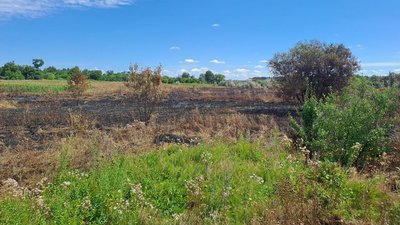 Село Катеринівка Кропивницького району, де сталась пожежа 6 серпня. Село Катеринівка Кропивницького району, де сталась пожежа 6 серпня.