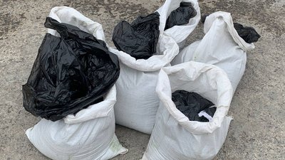 У Тернополі за допомогою водоростей чистять став