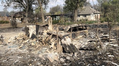 Лісова пожежу у Новосанжарській громаді: фото Лісова пожежу у Новосанжарській громаді: фото