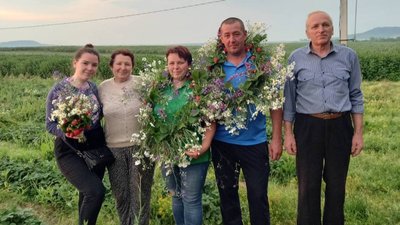 Полуниці, догляд, вирощування, врожай Полуниці, догляд, вирощування, врожай