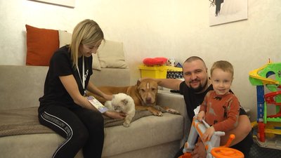 На фото Хмельницька волонтерка з сім'єю, яка прихистила евакуйованих котів із Харкова. На фото Хмельницька волонтерка з сім'єю, яка прихистила евакуйованих котів із Харкова.