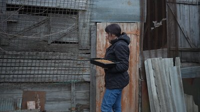 "Тварини — це святе": як волонтерка Олена Литовченко займається евакуацією тварин з Великої Писарівки на Сумщині