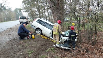 Загинула водійка легковика та її 25-річний син: на Житомирщині "FORD" врізався в дерево